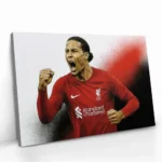 "Virgil van Dijk" – Bild 2