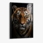 The Tiger – Glas – Bild 2