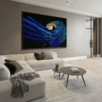 "The Parrot" – Bild 3