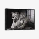 Lion Couple – Glas – Bild 2