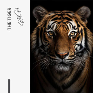 7.-Design-signature-33.jpg