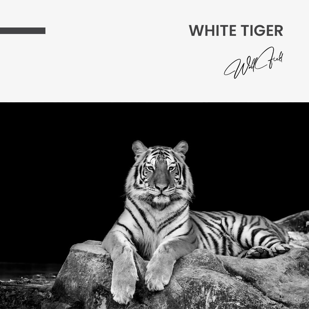 7.-Design-signature-43.jpg