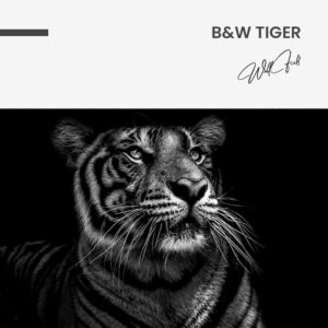 7.-Design-signature-44.jpg