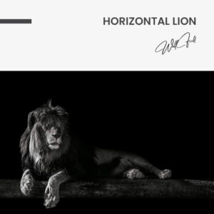 7.-Design-signature-83.jpg