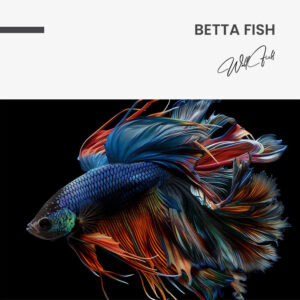 7.-Design-signature-Betta-Fish.jpg