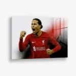 Virgil van Dijk – Glas