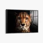The Cheetah – Glas – Bild 2