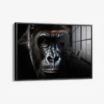 The Gorilla – Glas – Bild 2