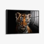 The Tiger Cub – Glas – Bild 2