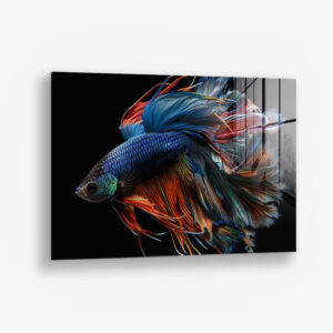 8.-Glass-Detail-1-Betta-Fish.jpg