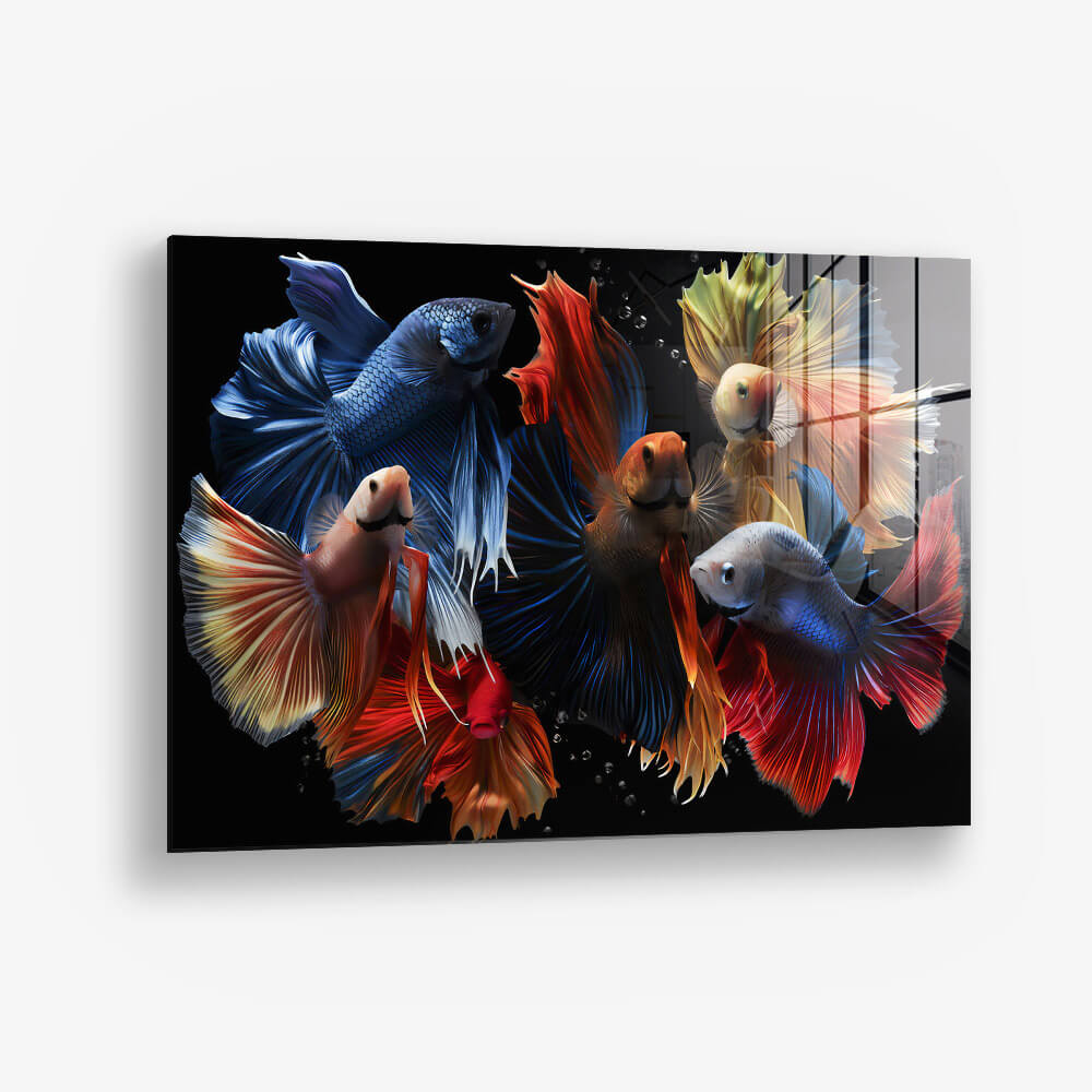 8.-Glass-Detail-1-Colourful-Fishes.jpg