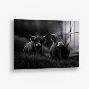 8.-Glass-Detail-1-Highlander-Duo.jpg