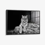 White Tiger – Glas – Bild 2