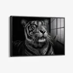 B&W Tiger – Glas – Bild 2