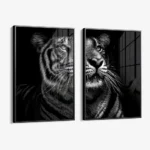Bundle: "B&W Tiger" (2x) – Glas – Bild 2