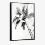 Beachy Palm - Glass – Bild 2