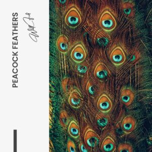 Design-signature-tiny-25.jpg