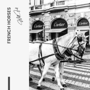 Design-signature-tiny-8-1.jpg