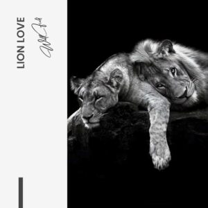 Design-signature-tinypng-optimized-381.jpg