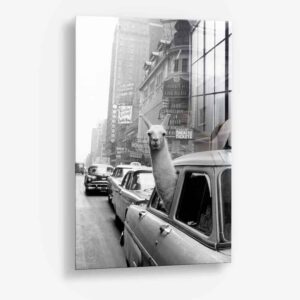 Glass-Detail-1-optimized-687.jpg