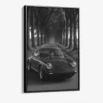 "Treeline Porsche"