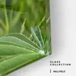 Field Cipher – Glas – Bild 4