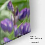 Upright Signal – Glas – Bild 4