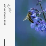 Blue Range Work – Glas – Bild 5