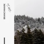 "Branchmark" – Bild 7