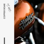 Copper Roar – Glas – Bild 5