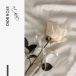 "Dior Rose" – Bild 7