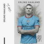 Erling Haaland – Glas – Bild 5
