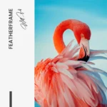 Featherframe – Glas – Bild 5