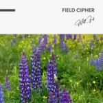 "Field Cipher" – Bild 7