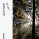 "Line of Light" – Bild 7