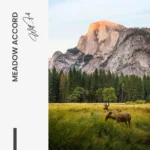 "Meadow Accord" – Bild 7