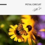 "Petal Circuit" – Bild 7