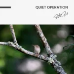 Quiet Operation – Glas – Bild 5