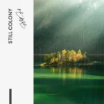 Still Colony – Glas – Bild 5