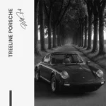 "Treeline Porsche" – Bild 7