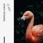 Tropical Curve – Glas – Bild 5