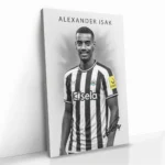 "Alexander Isak" – Bild 2