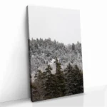 "Branchmark" – Bild 2