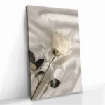 "Dior Rose" – Bild 2