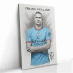 "Erling Haaland" – Bild 2