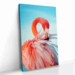 "Featherframe" – Bild 2