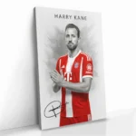 "Harry Kane" – Bild 2