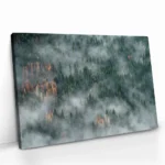 "Hidden Tiers" – Bild 2