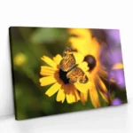 "Petal Circuit" – Bild 2