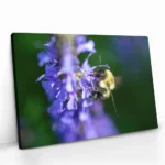 "Purple Run" – Bild 2